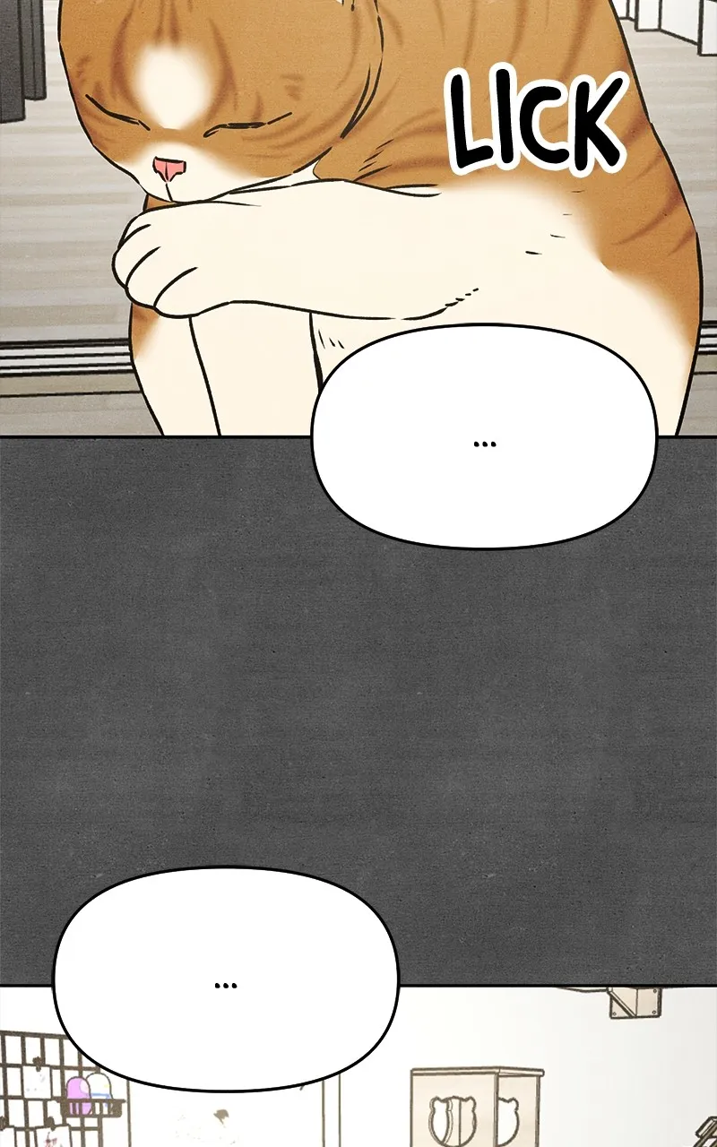 Who’s That Long-Haired Senior? Chapter 21 page 20 - 