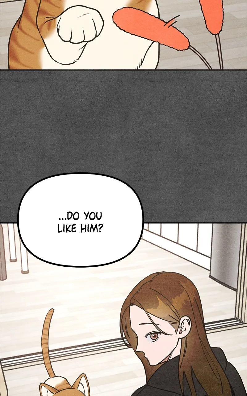 Who’s That Long-Haired Senior? Chapter 21 page 3 - 
