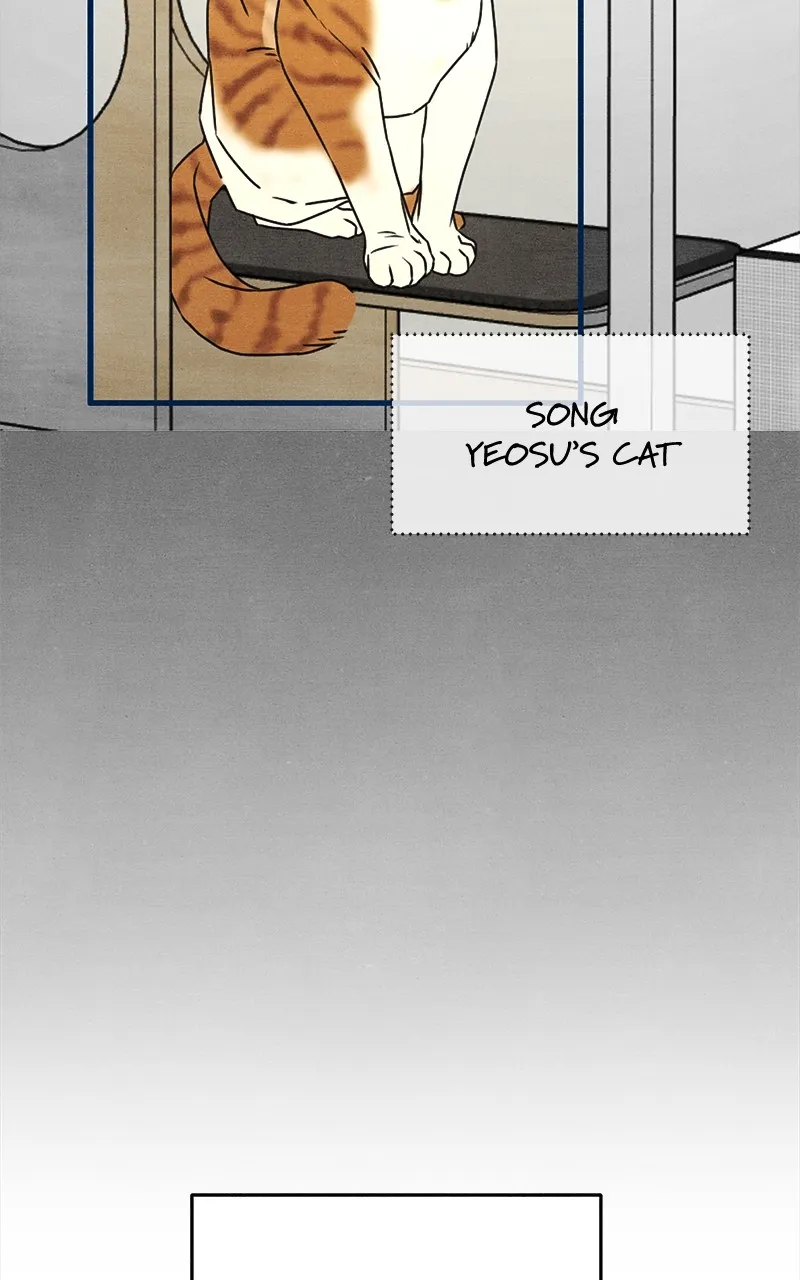 Who’s That Long-Haired Senior? Chapter 21 page 29 - 