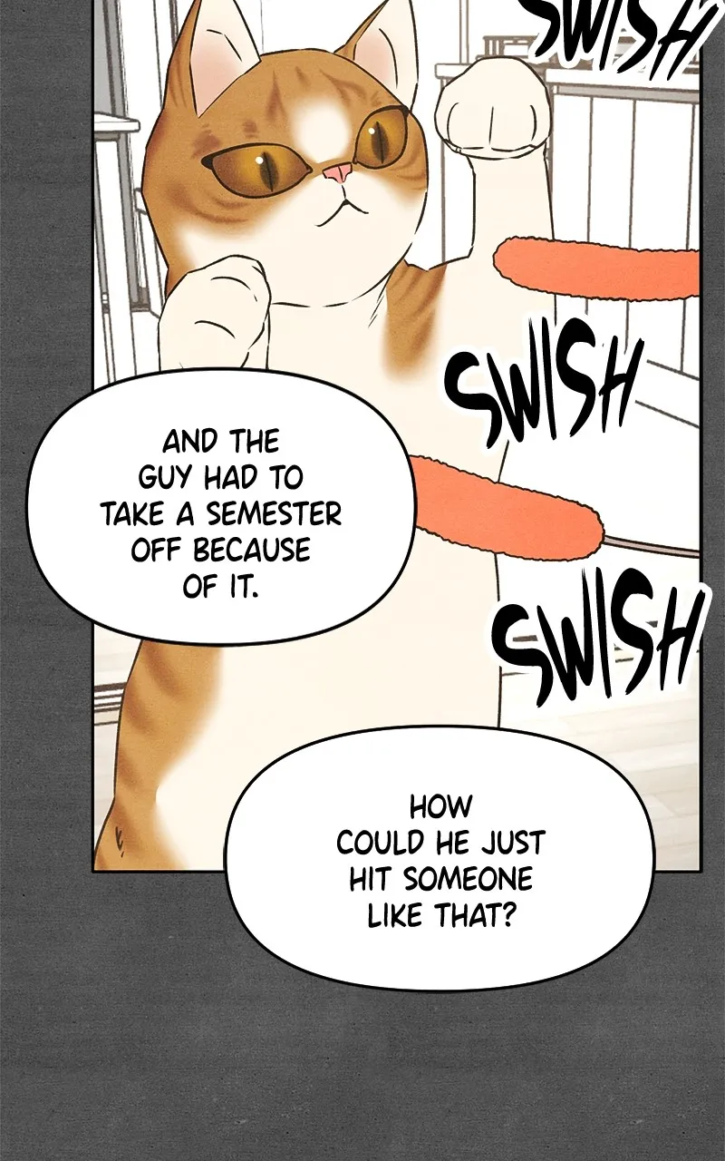 Who’s That Long-Haired Senior? Chapter 21 page 8 - 