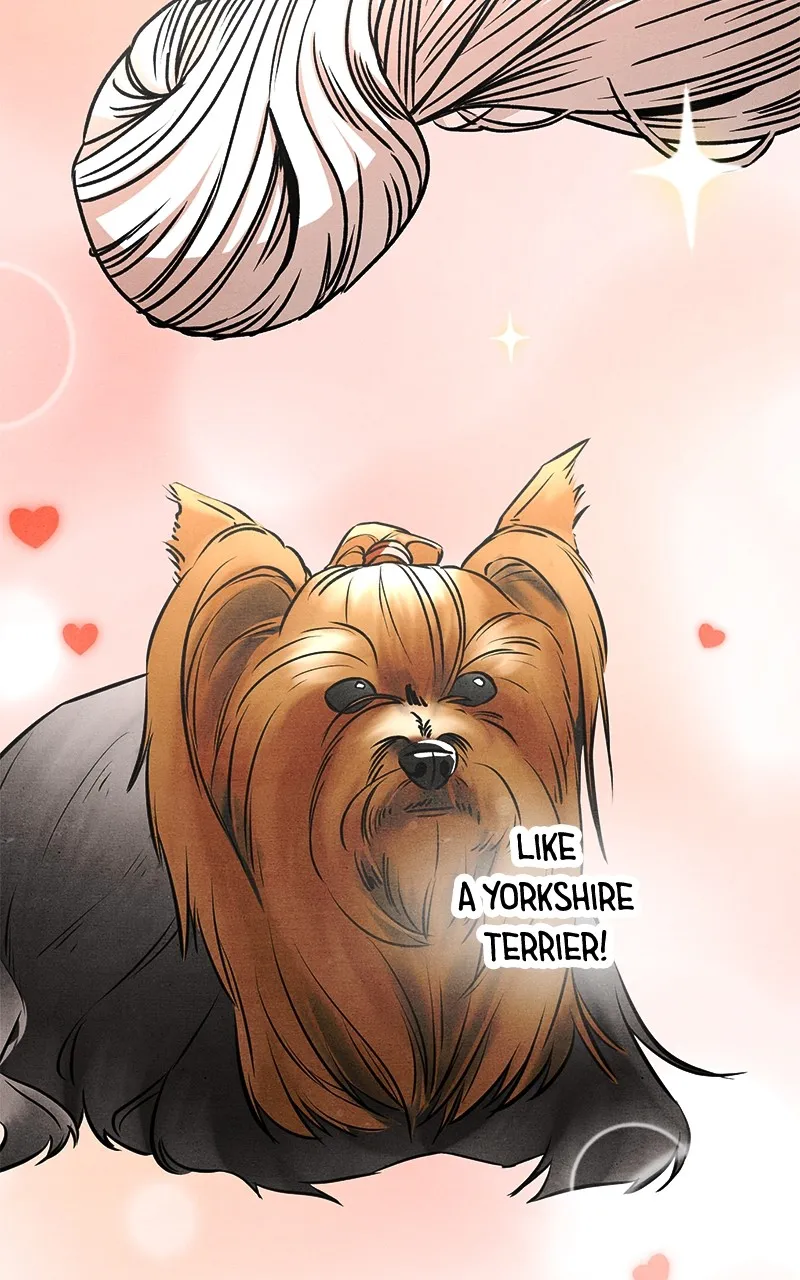 Who’s That Long-Haired Senior? Chapter 28 page 59 - 