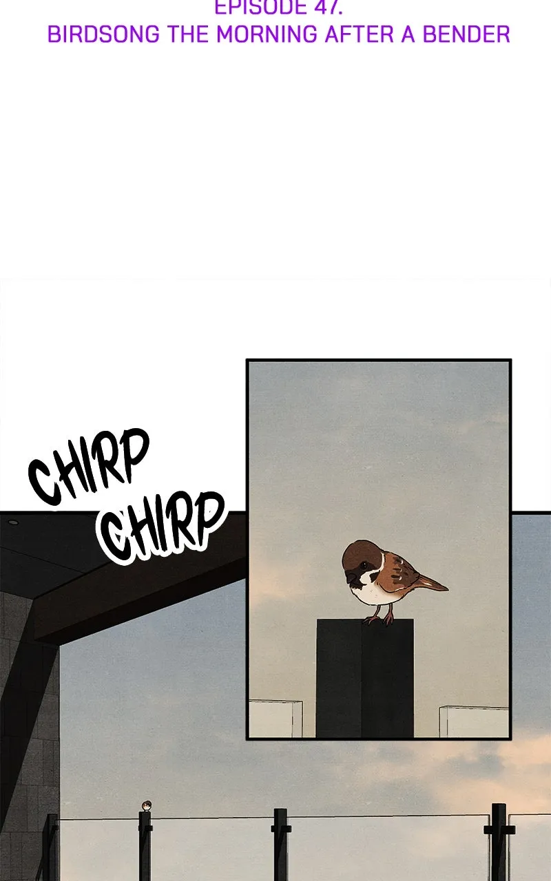 Who’s That Long-Haired Senior? Chapter 48 page 26 - 