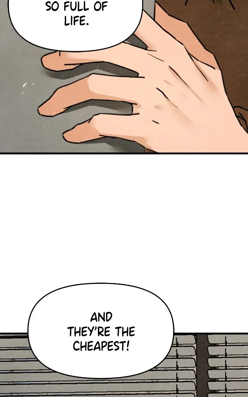 Who’s That Long-Haired Senior? Chapter 78 page 31 - 