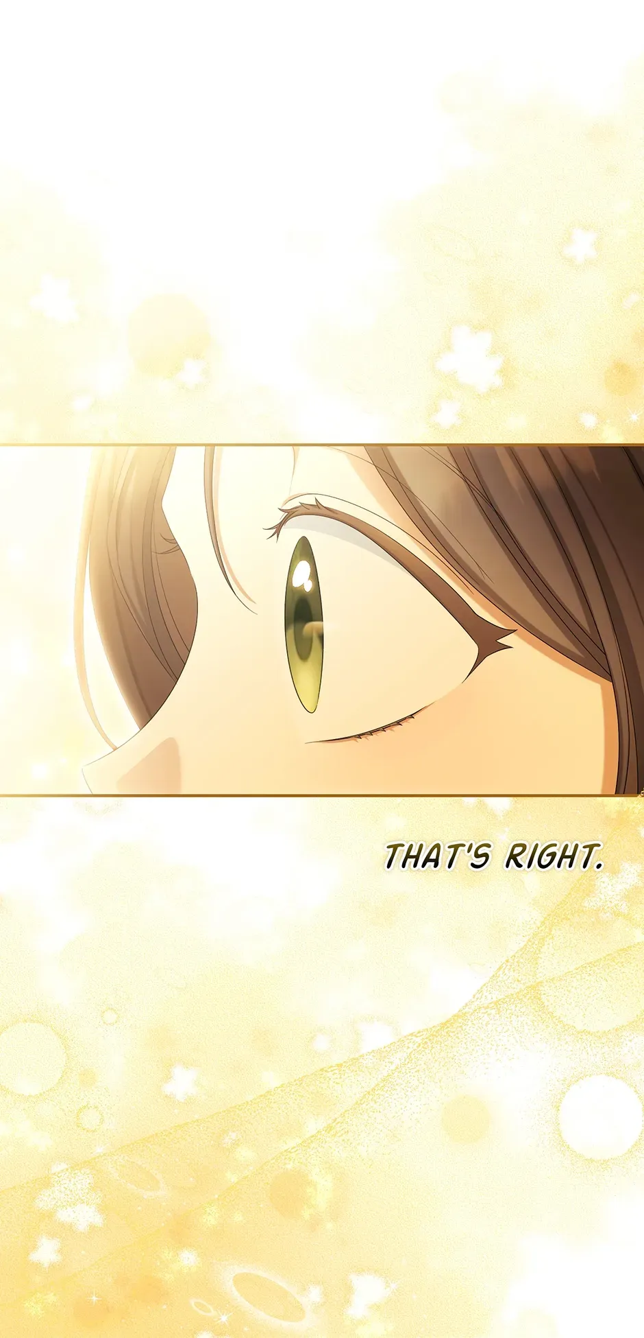 Why Are You Obsessed With Your Fake Wife? Chapter 103 page 64 - 