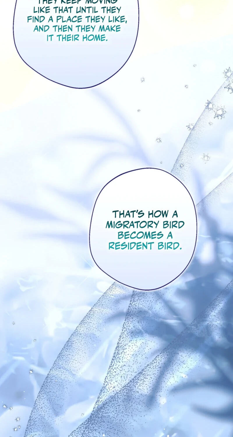 Why Are You Obsessed With Your Fake Wife? Chapter 104 page 104 - 