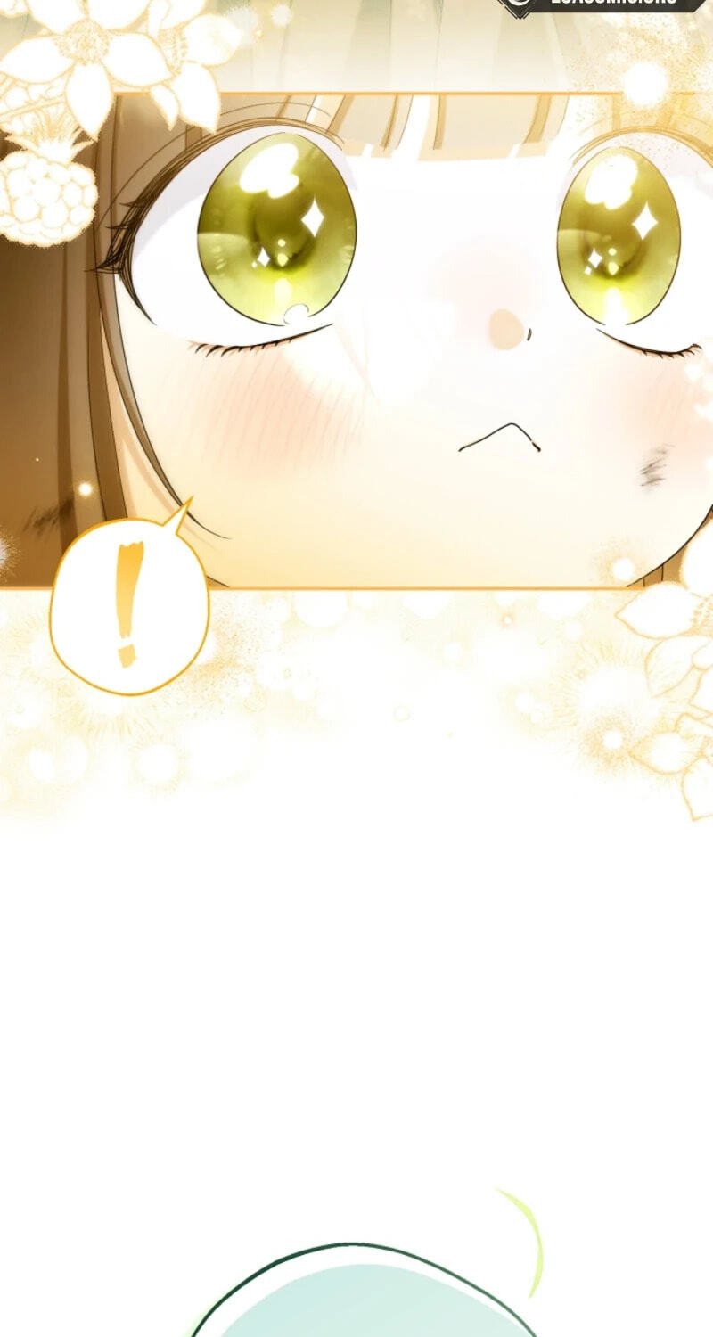 Why Are You Obsessed With Your Fake Wife? Chapter 104 page 49 - 