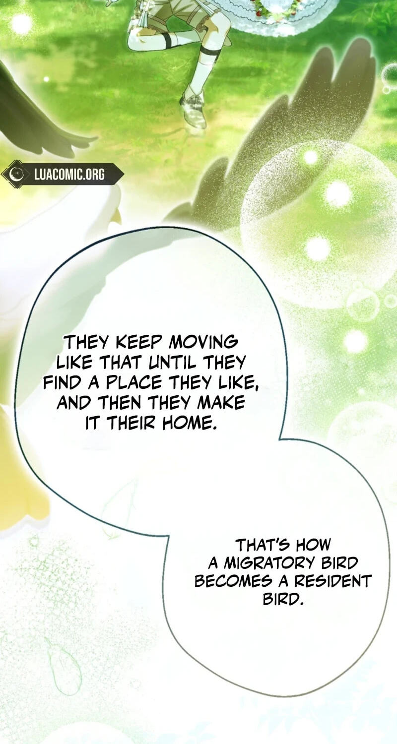 Why Are You Obsessed With Your Fake Wife? Chapter 104 page 80 - 