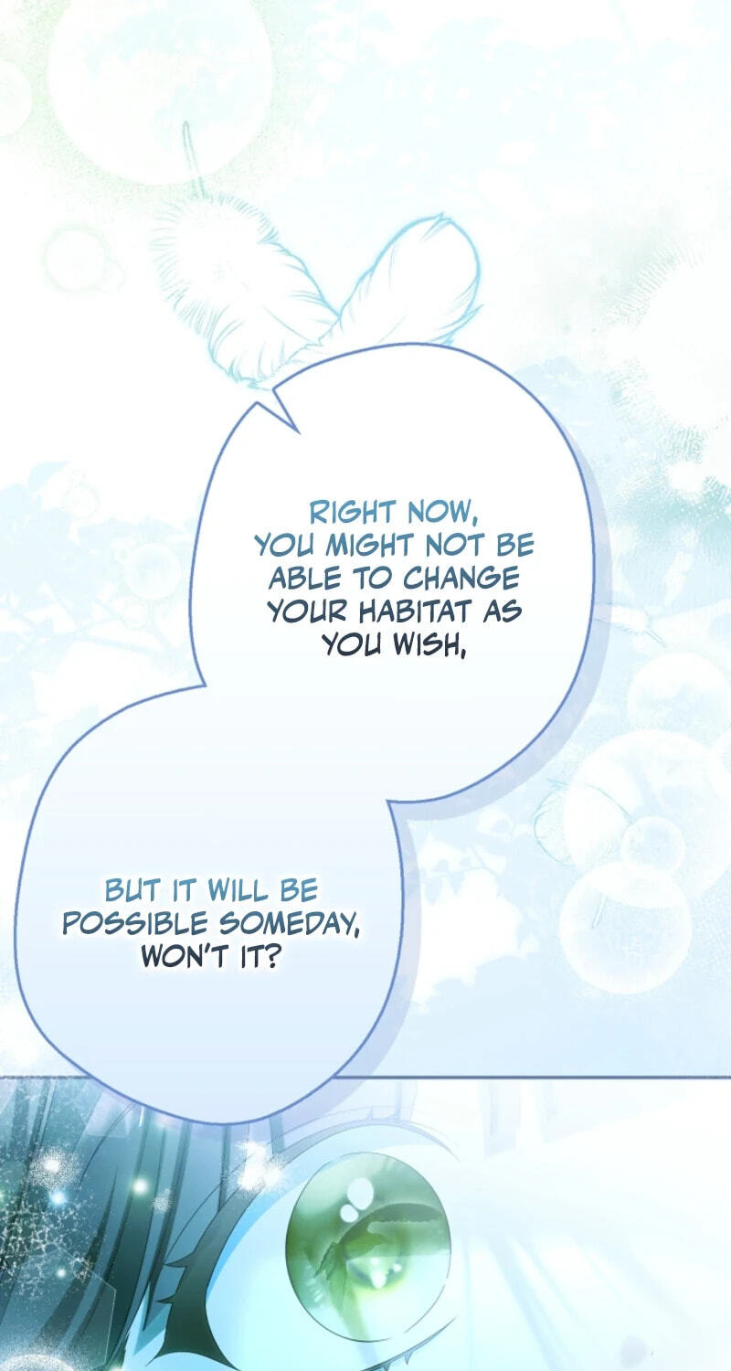 Why Are You Obsessed With Your Fake Wife? Chapter 104 page 81 - 