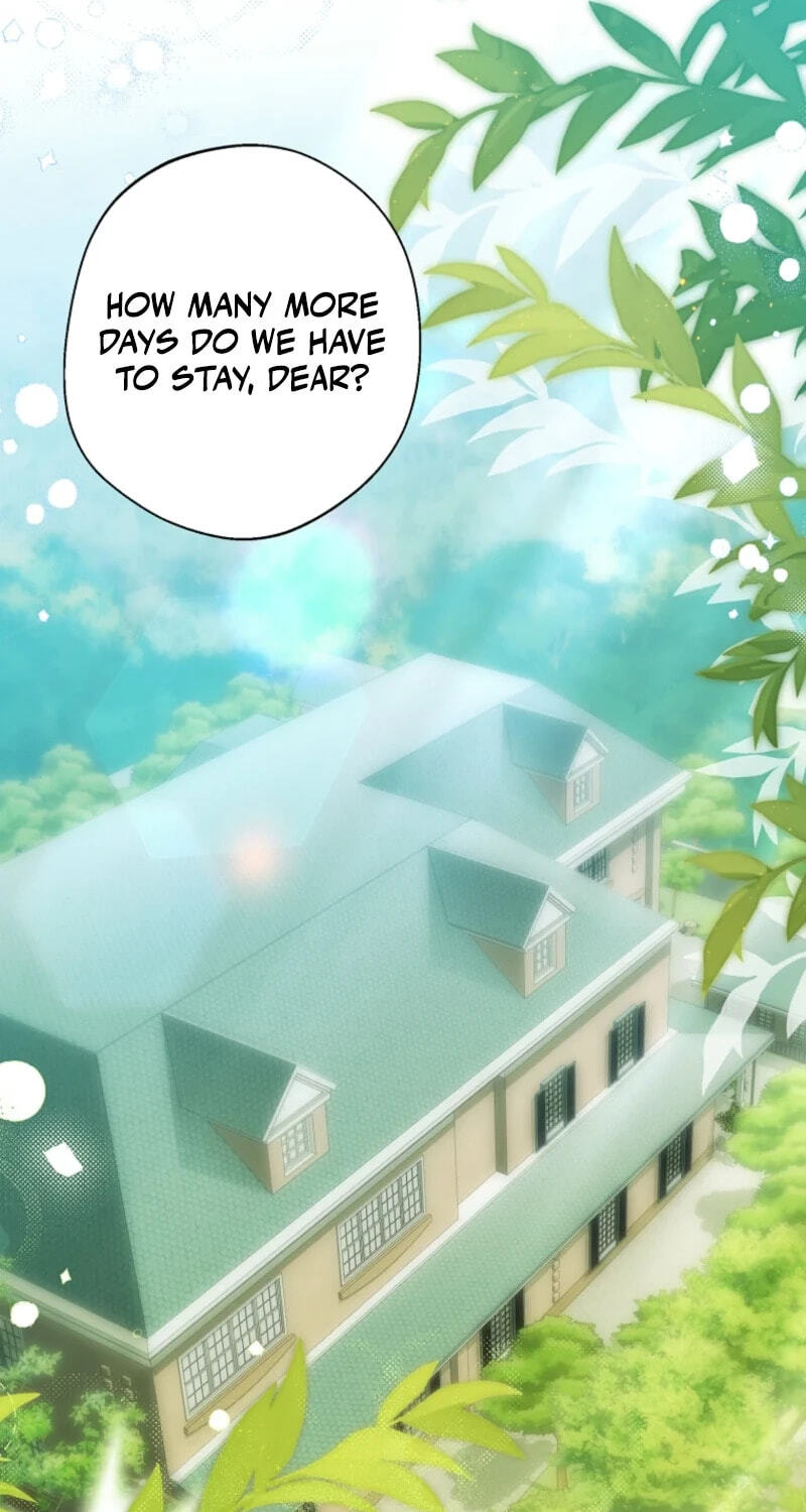 Why Are You Obsessed With Your Fake Wife? Chapter 105 page 71 - 