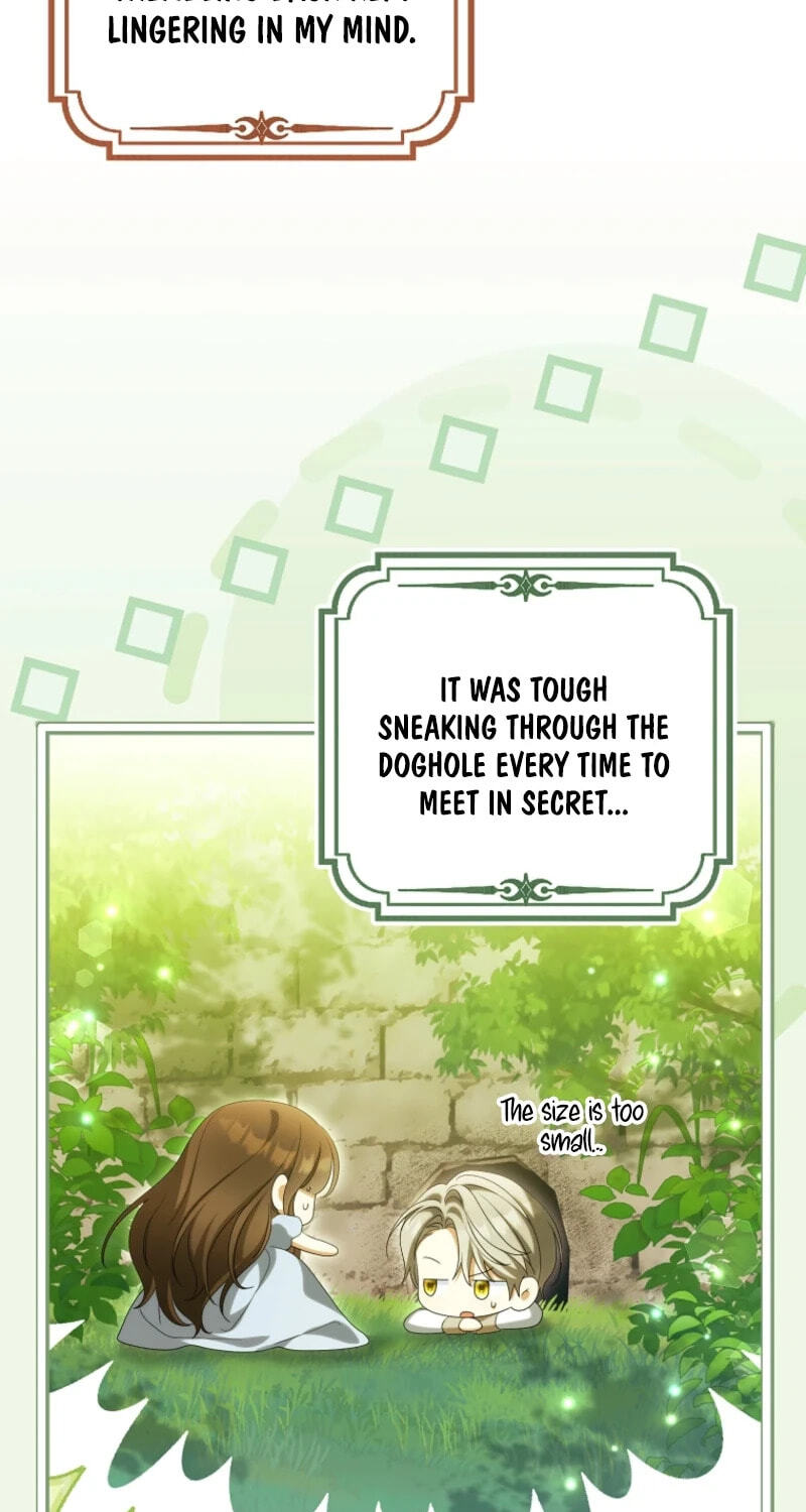 Why Are You Obsessed With Your Fake Wife? Chapter 105 page 87 - 