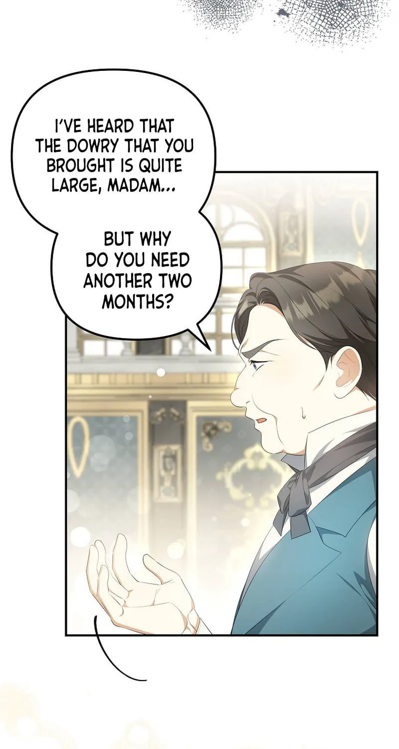 Why Are You Obsessed With Your Fake Wife? Chapter 11 page 3 - 