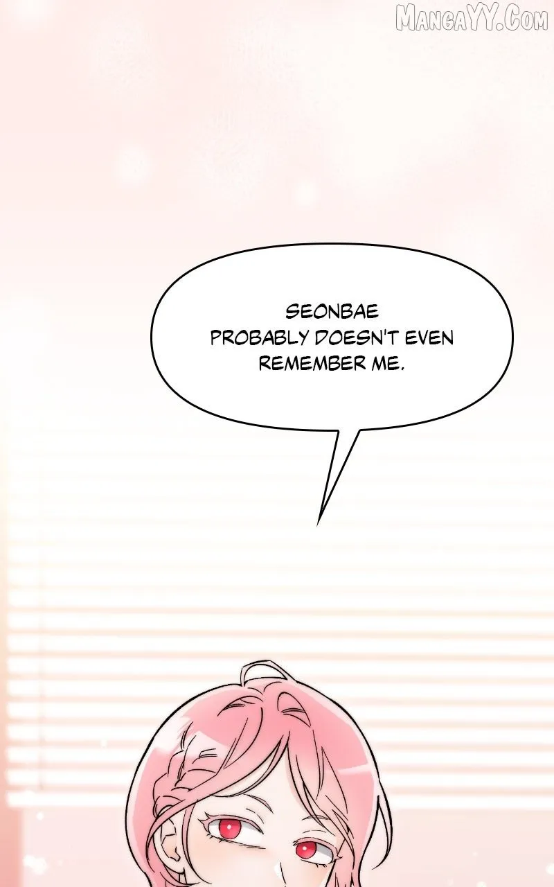Why Does Everyone Love Me?! Chapter 15 page 5 - 