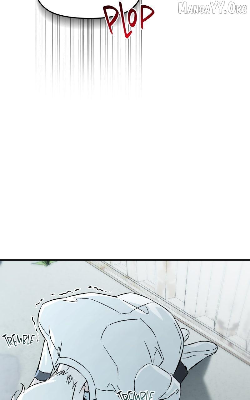 Why Does Everyone Love Me?! Chapter 33 page 12 - 