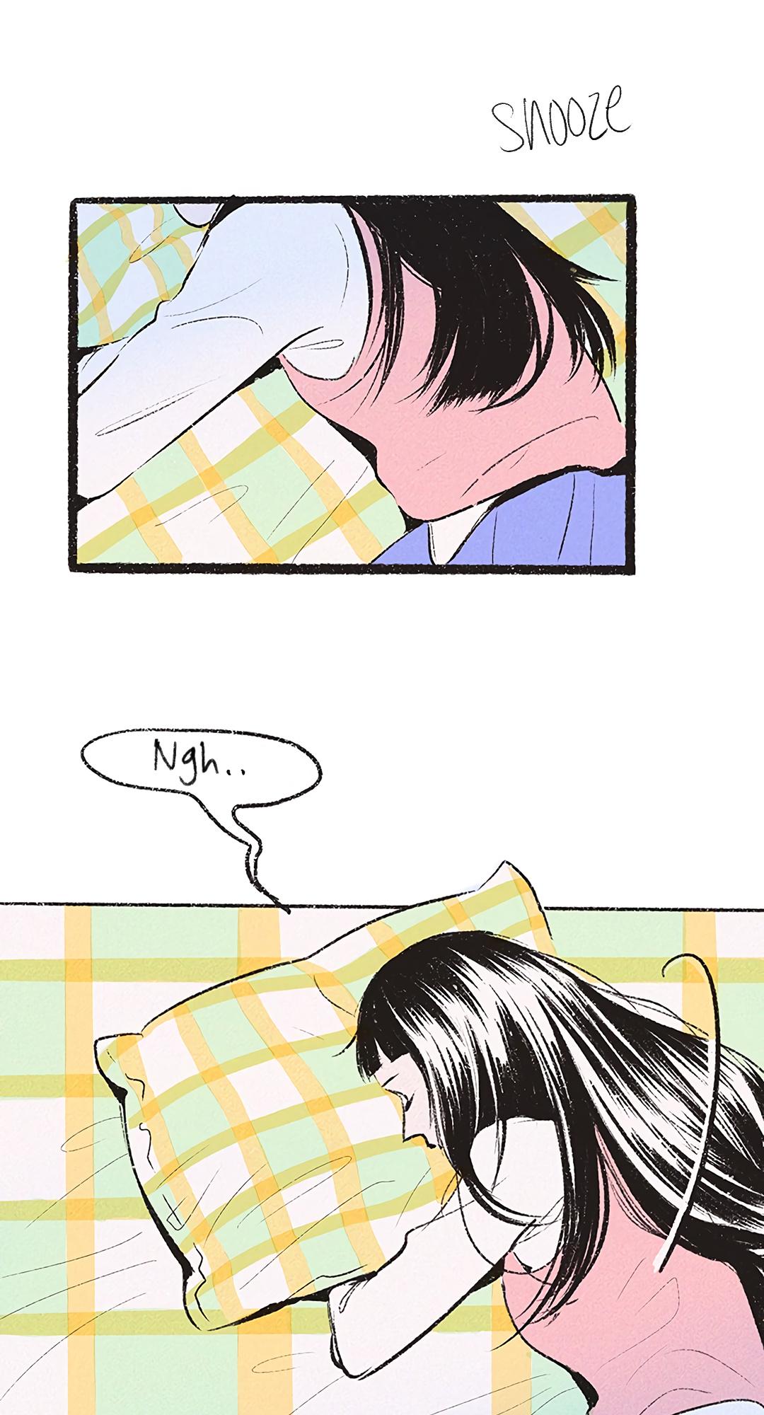 Why Don