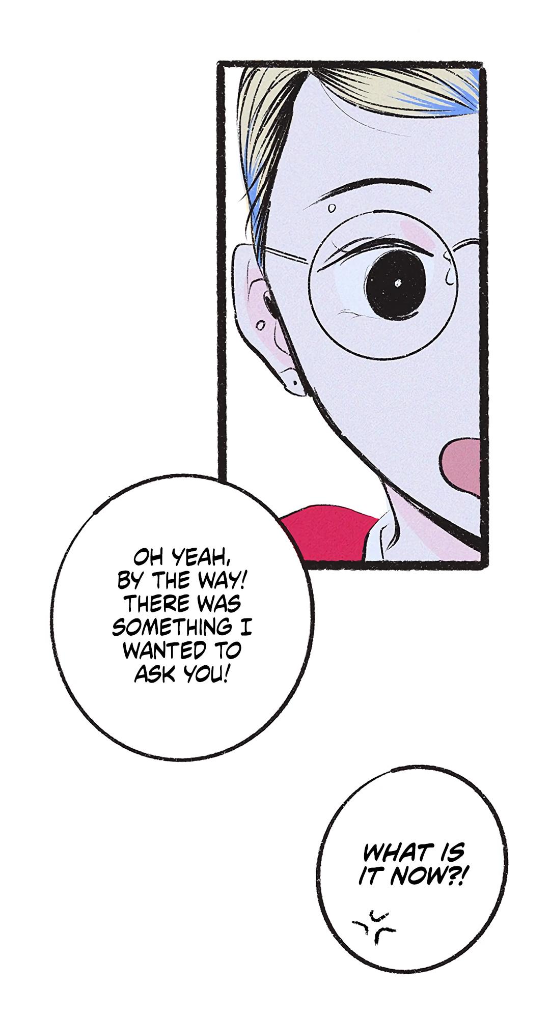 Why Don