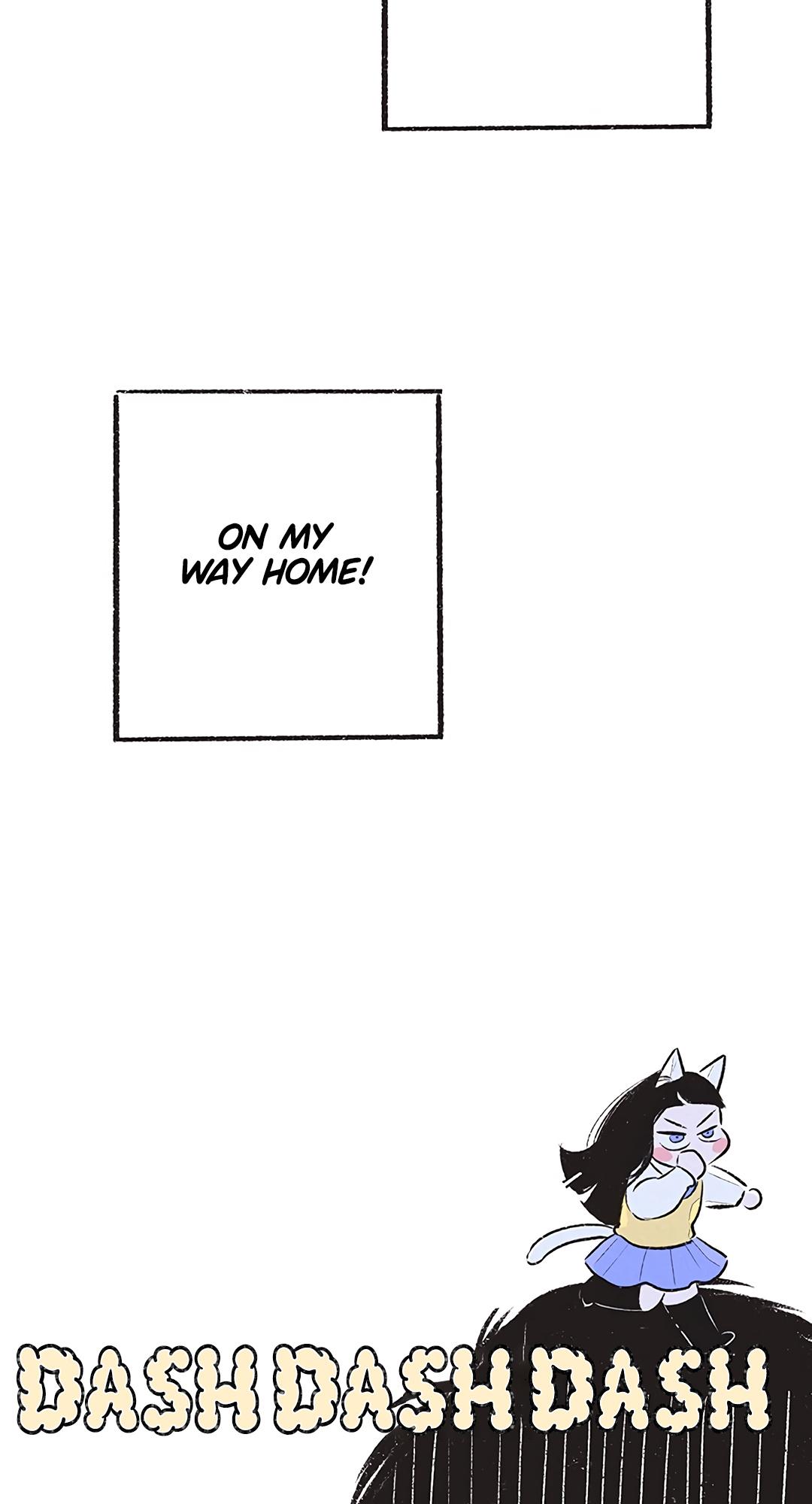 Why Don