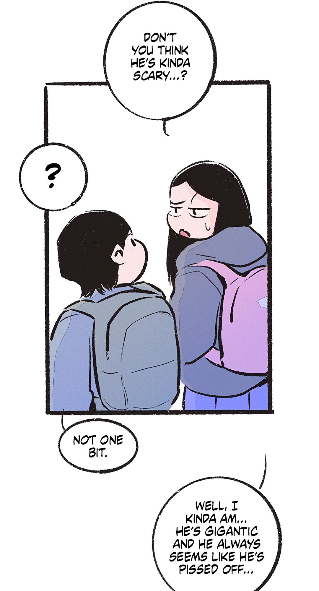 Why Don