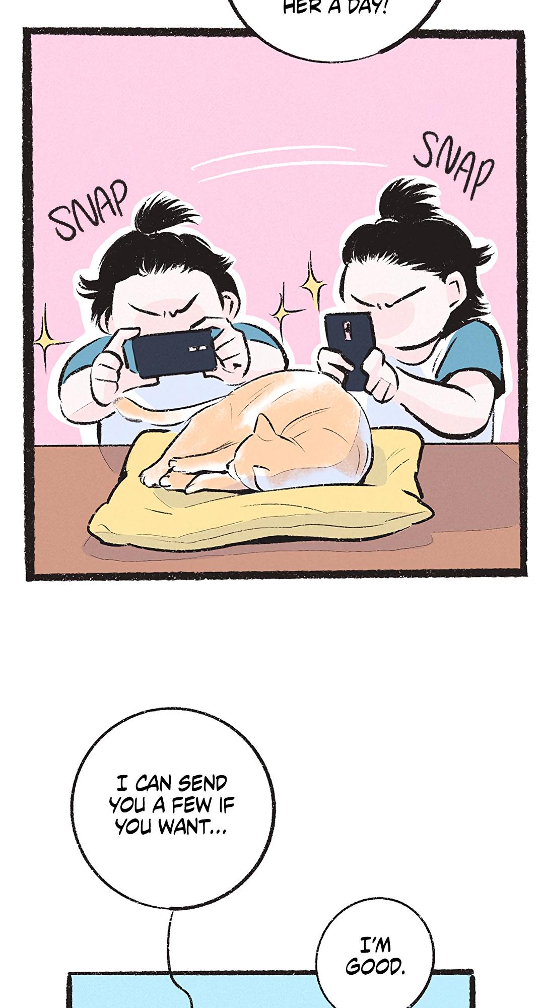 Why Don