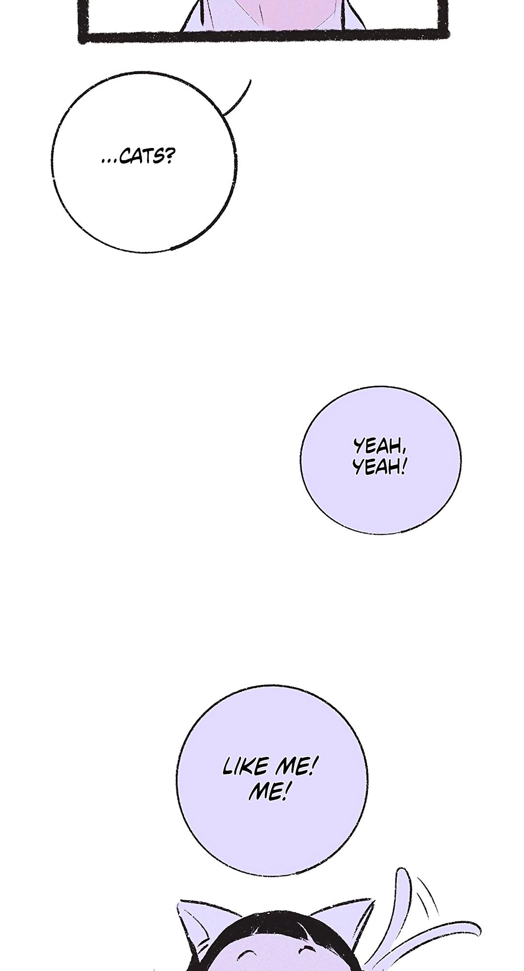 Why Don