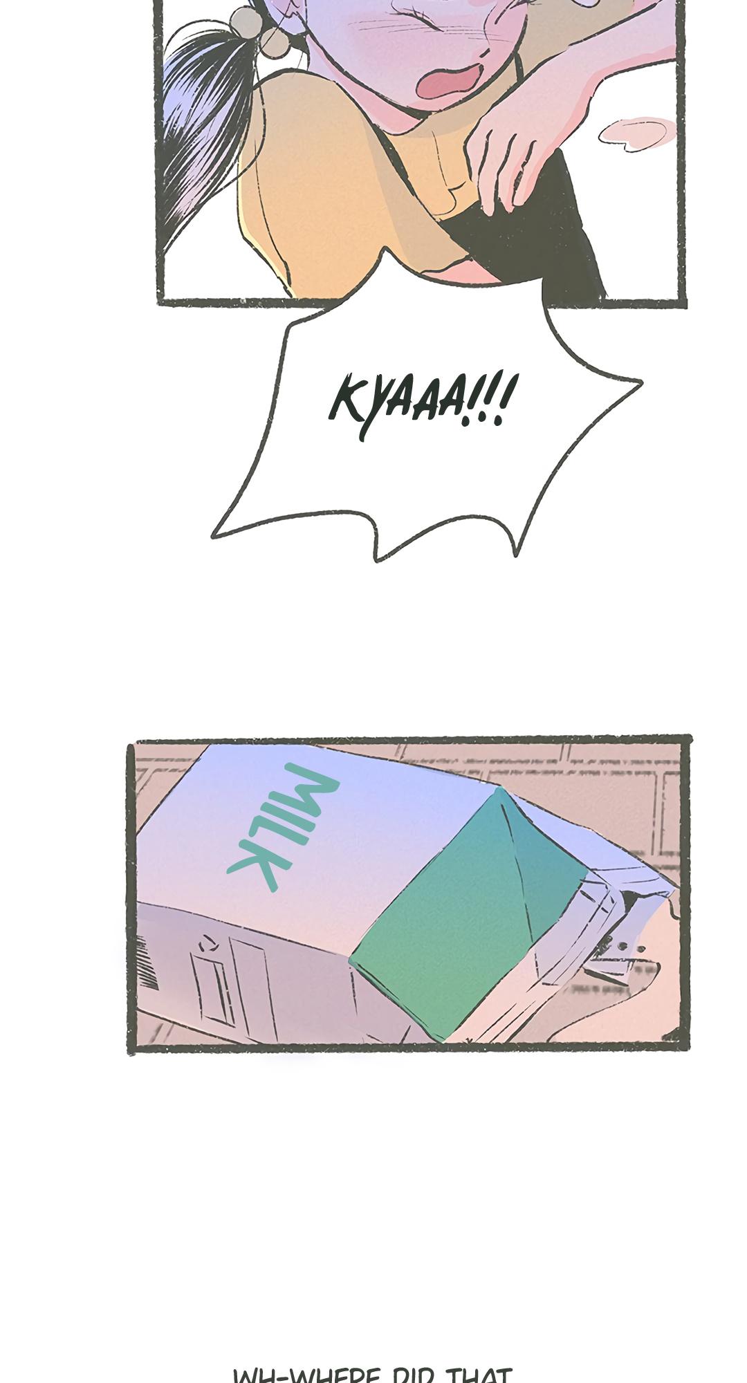 Why Don
