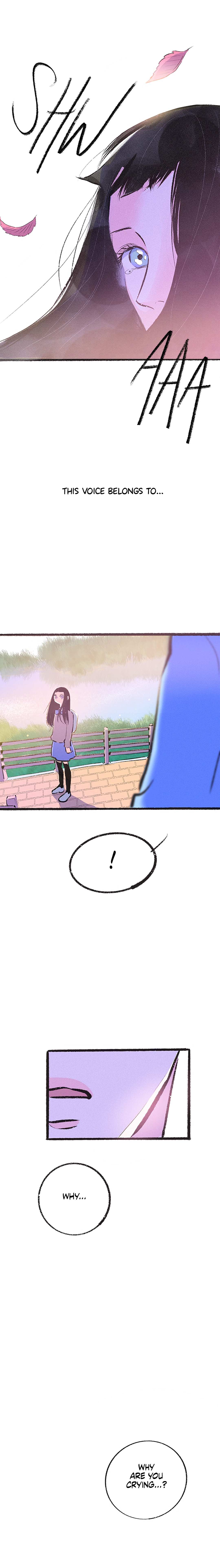 Why Don