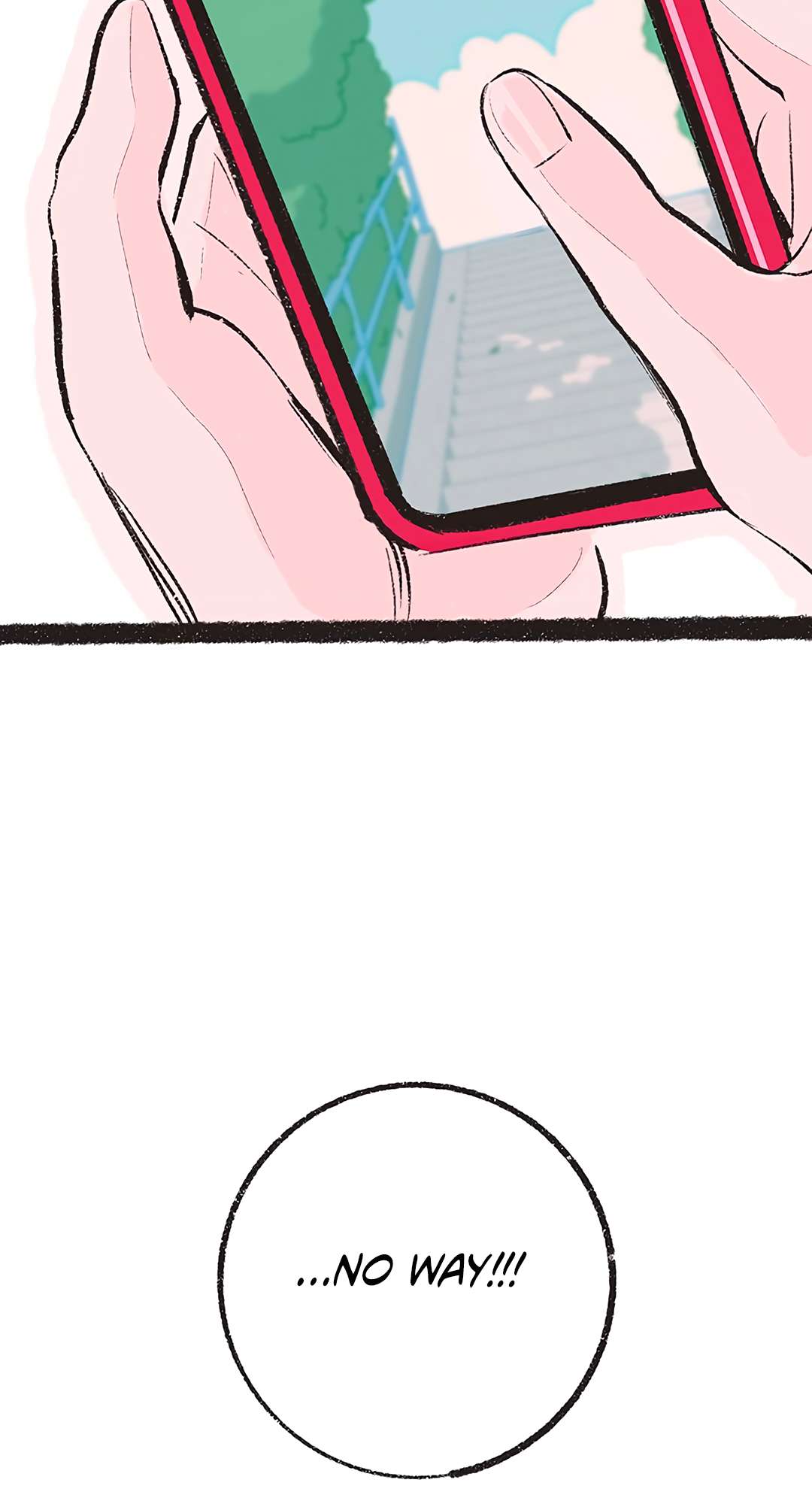 Why Don