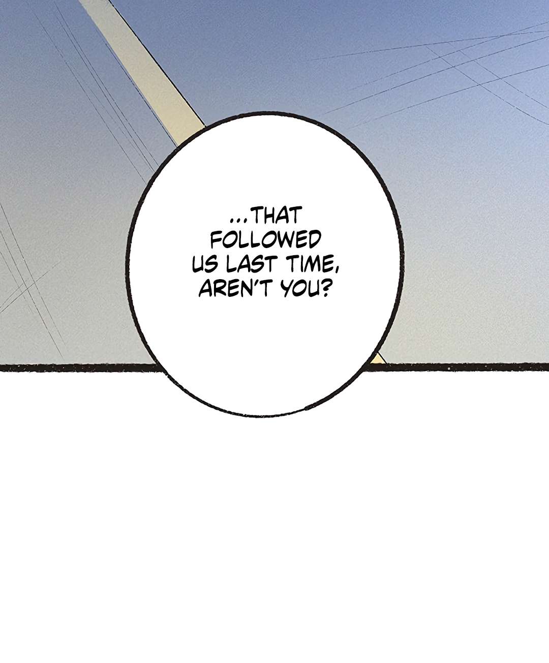 Why Don