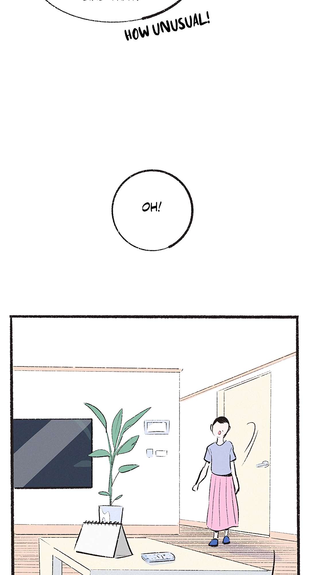 Why Don