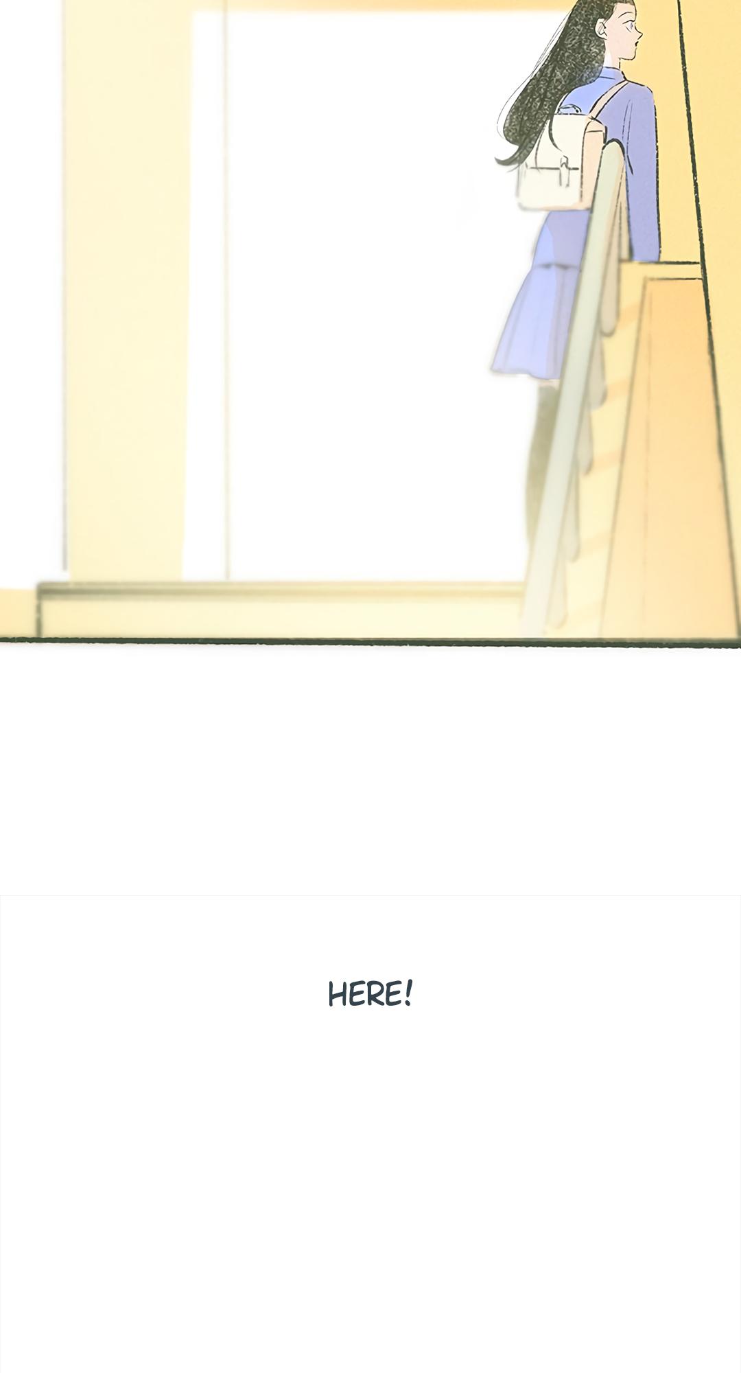 Why Don
