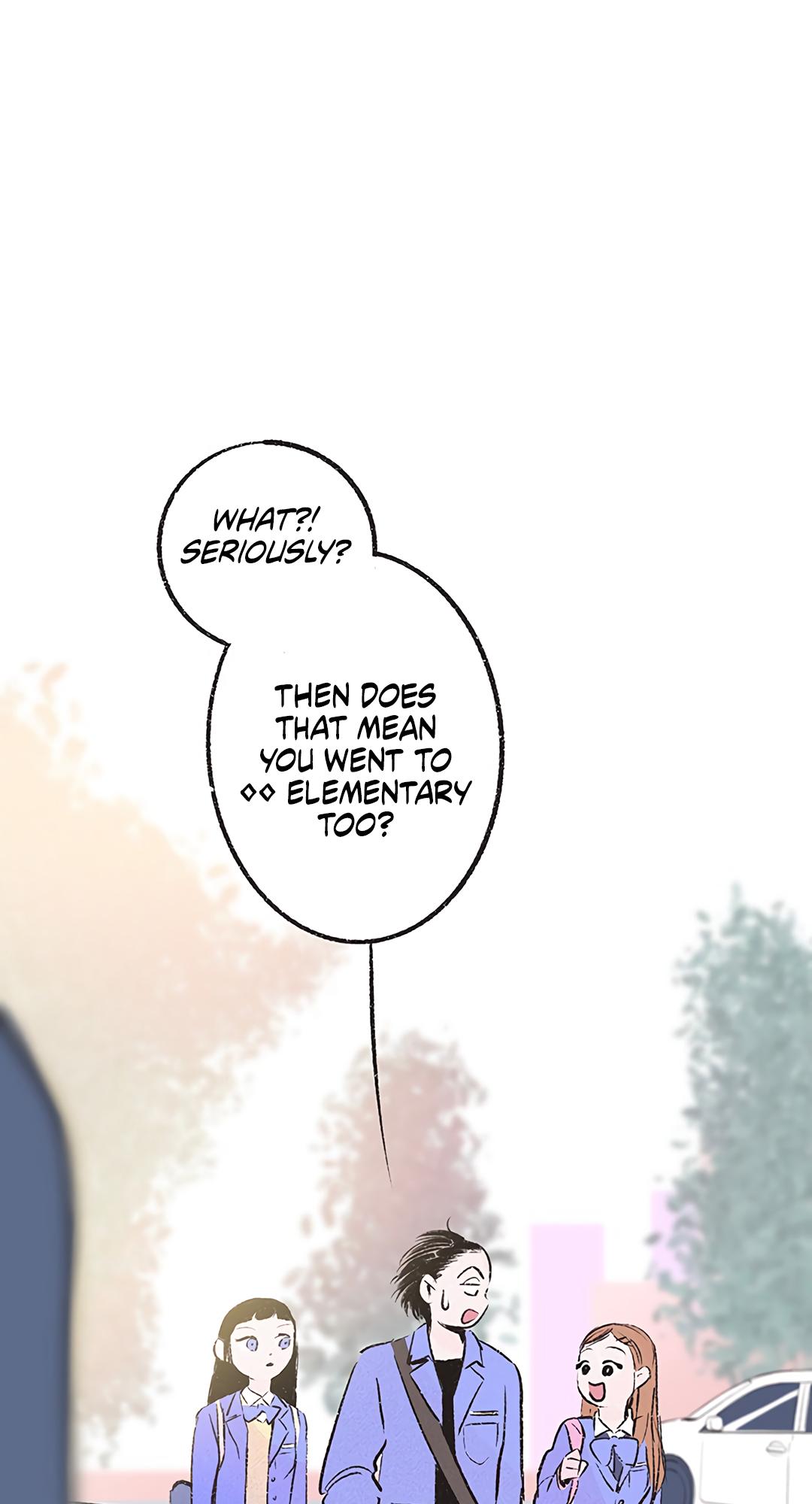 Why Don