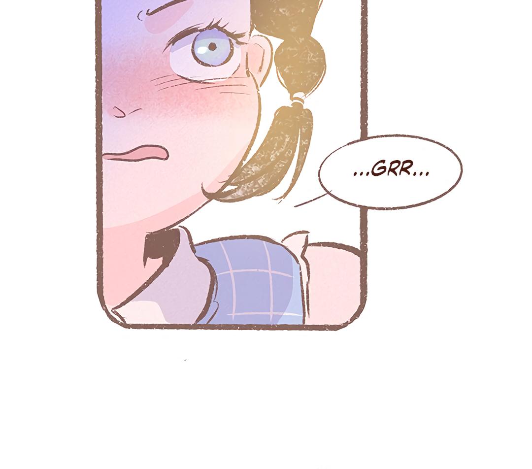 Why Don