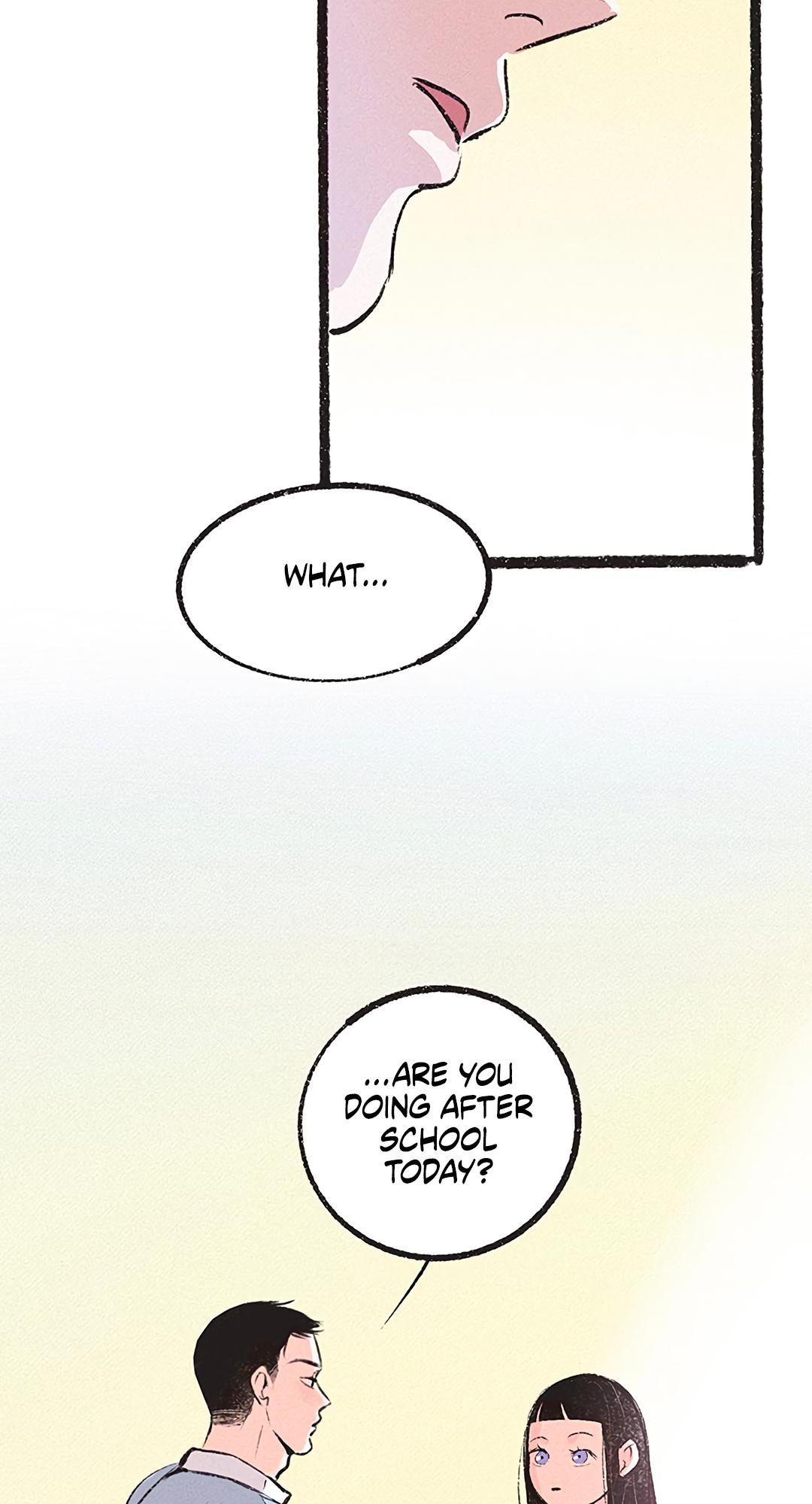 Why Don