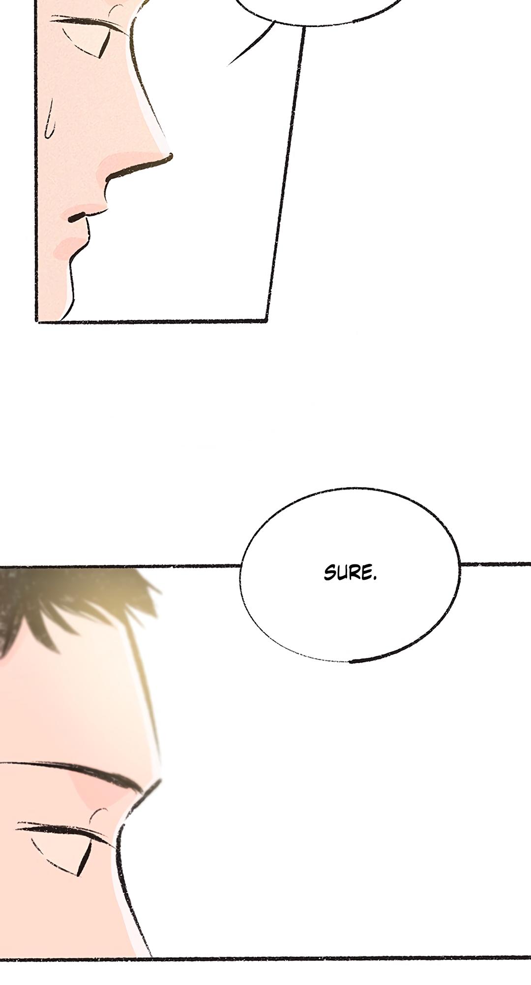 Why Don