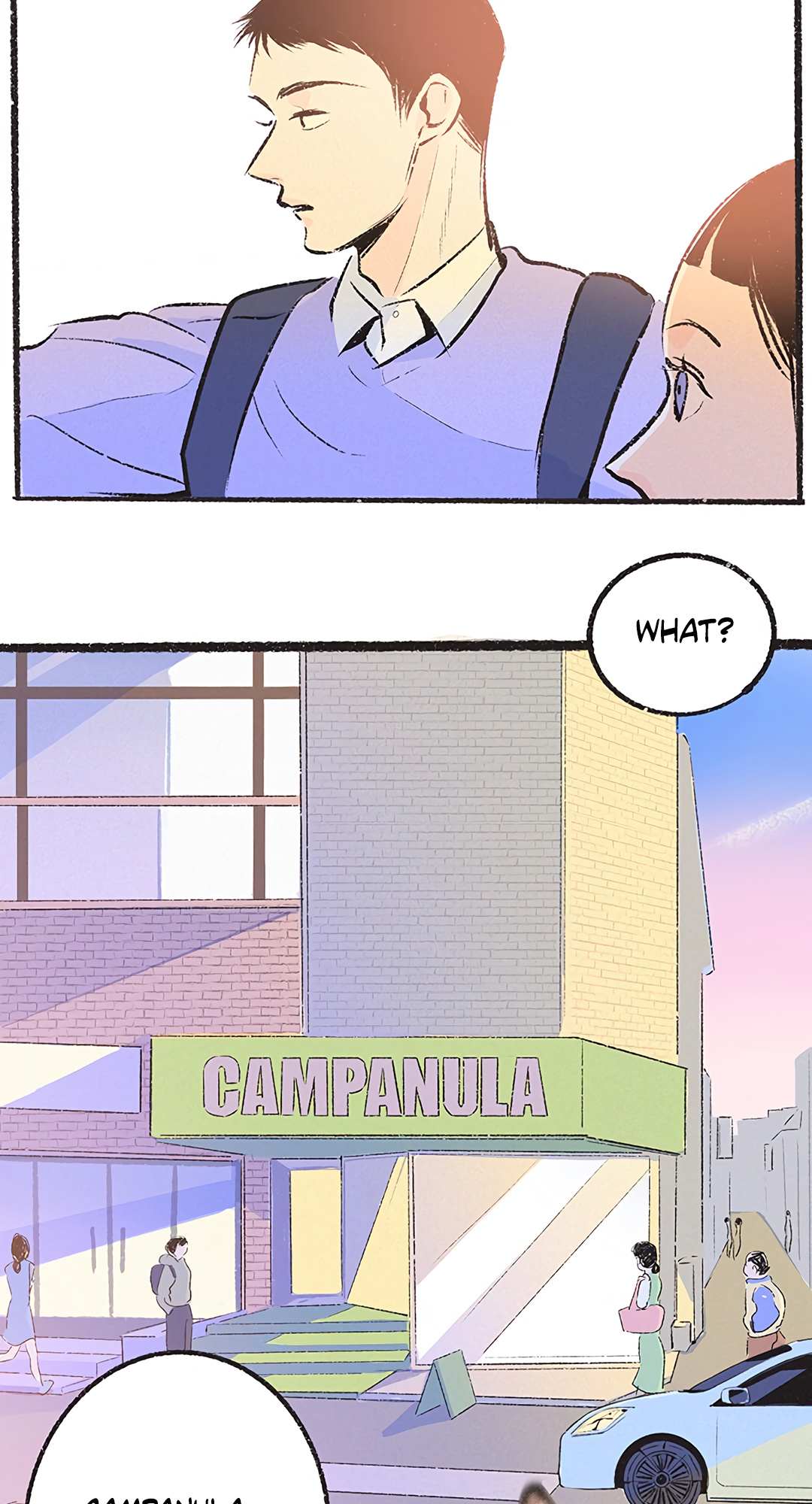 Why Don