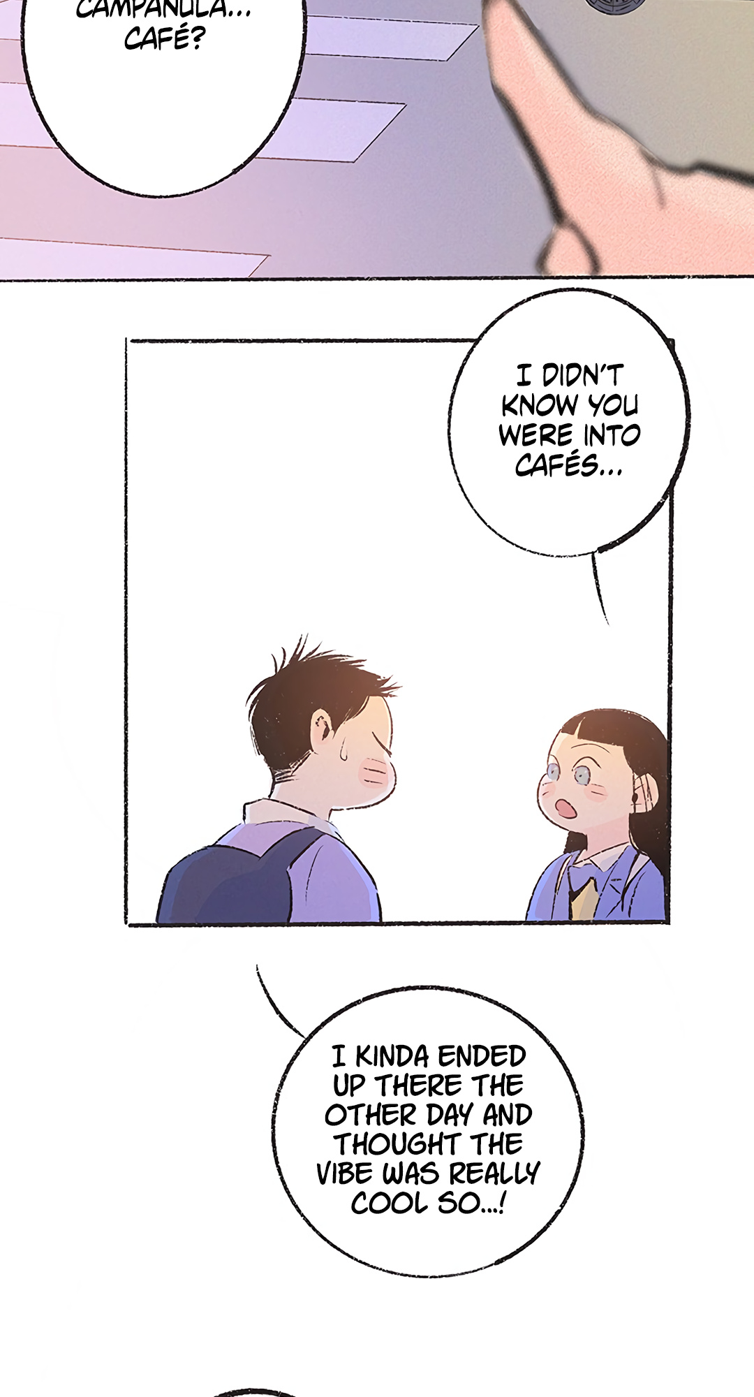 Why Don