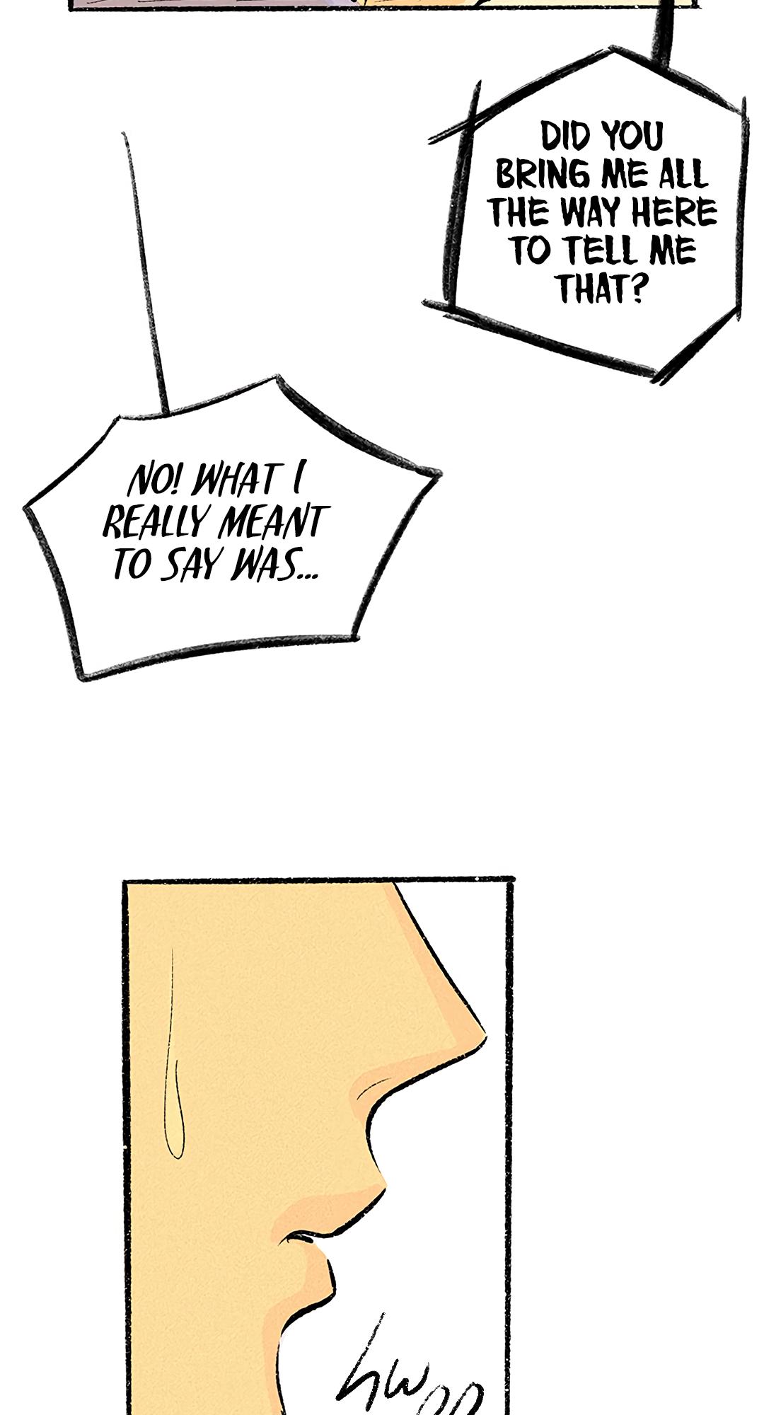 Why Don