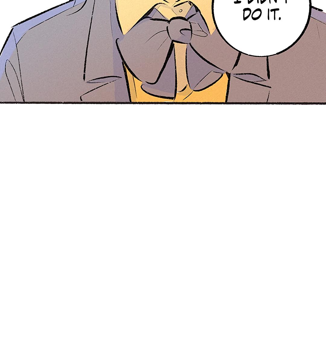 Why Don