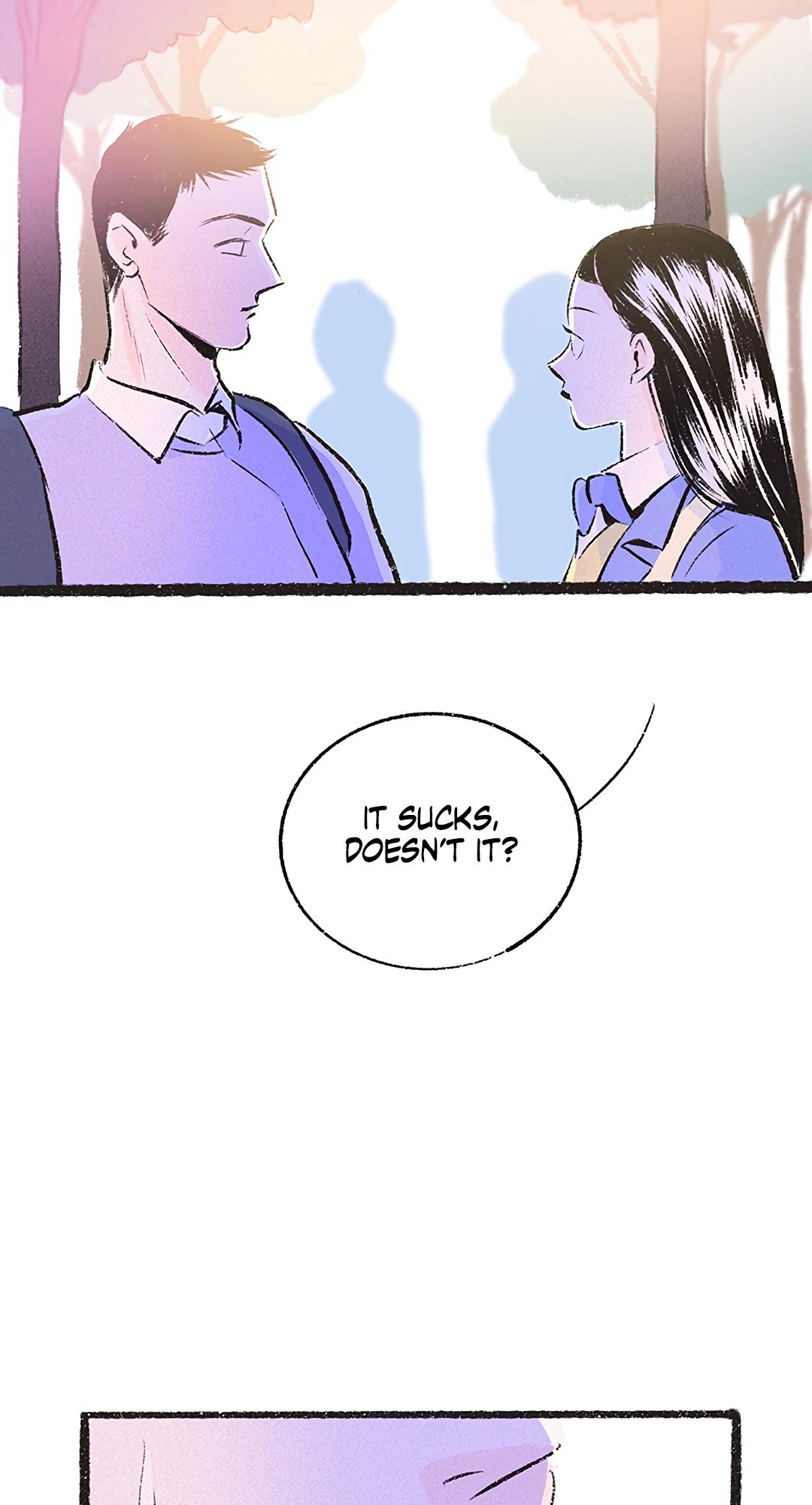 Why Don