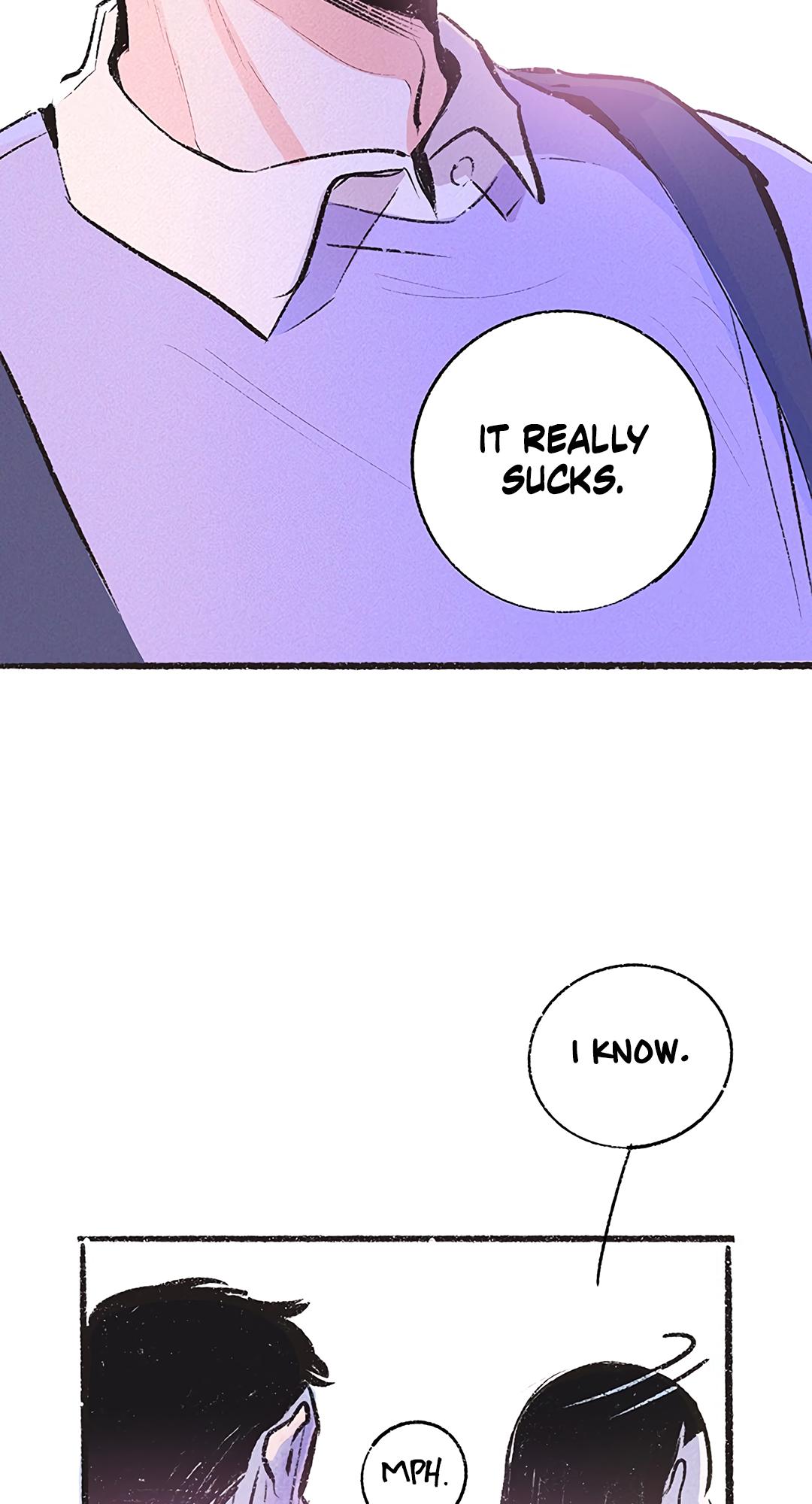 Why Don
