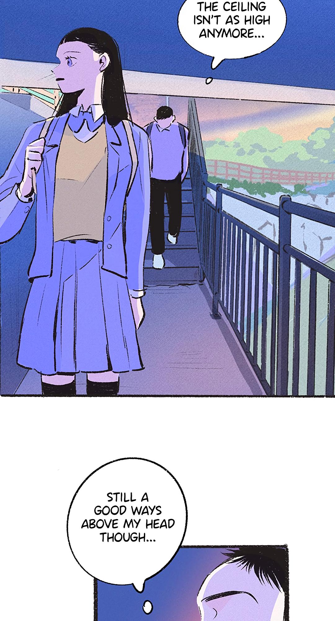 Why Don
