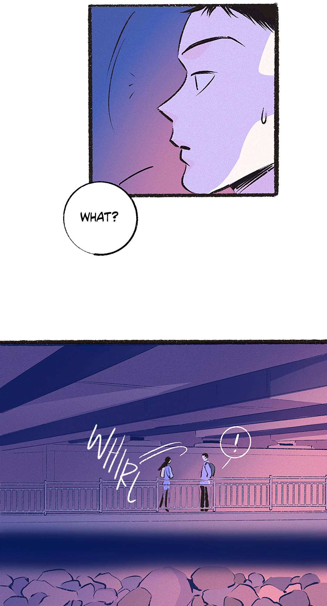 Why Don