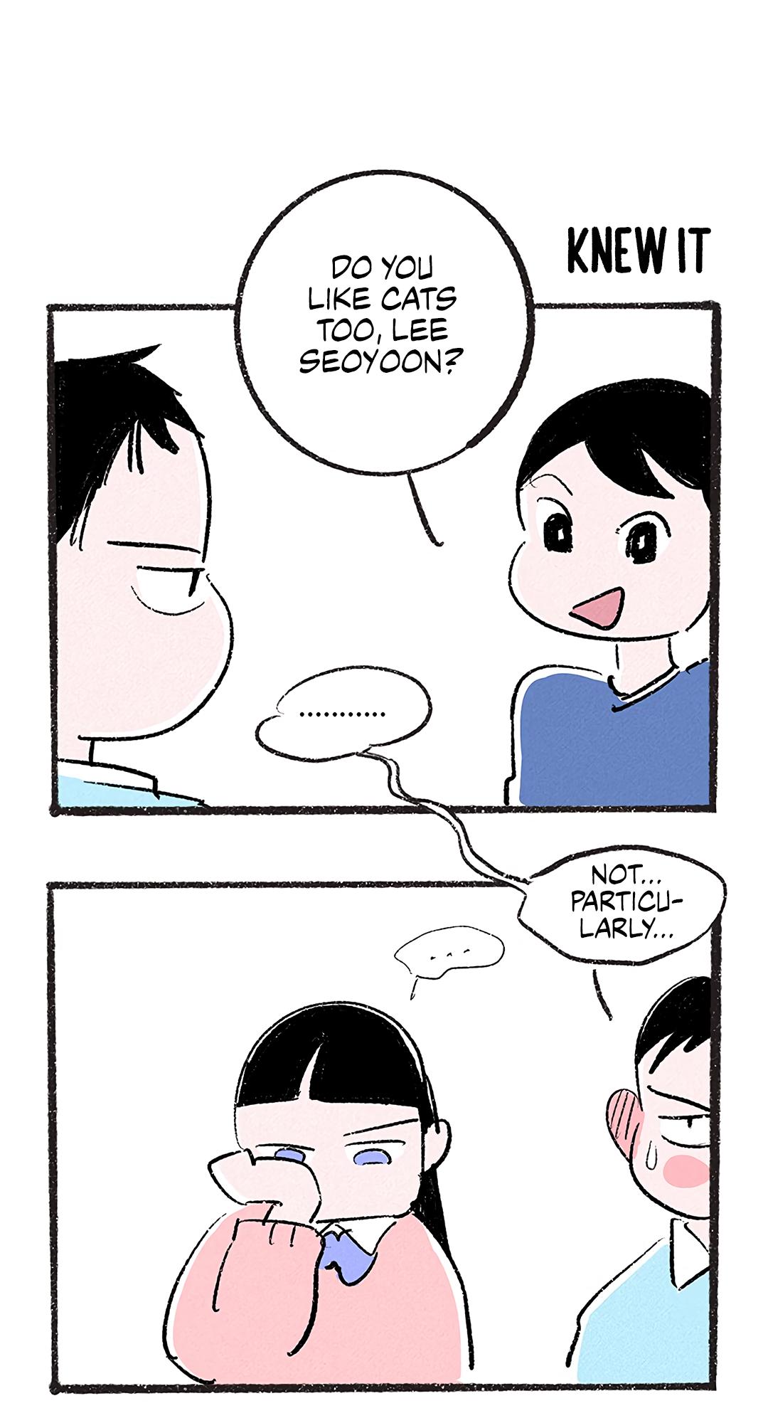Why Don