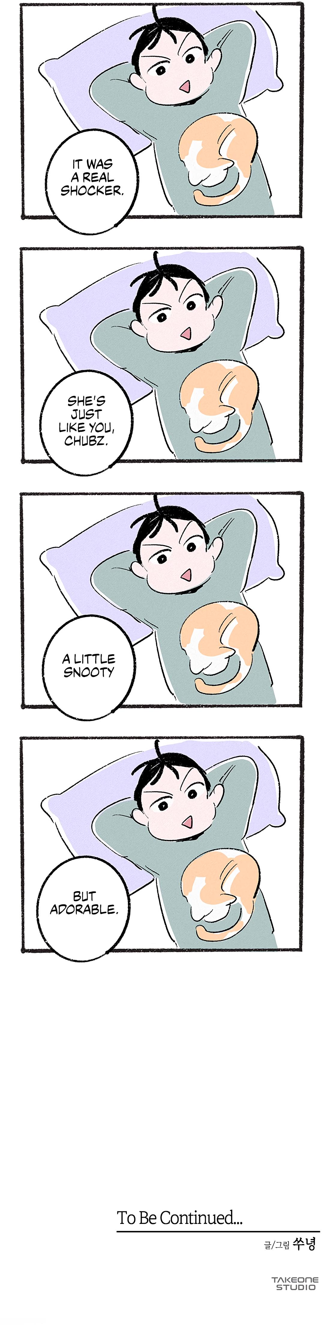 Why Don