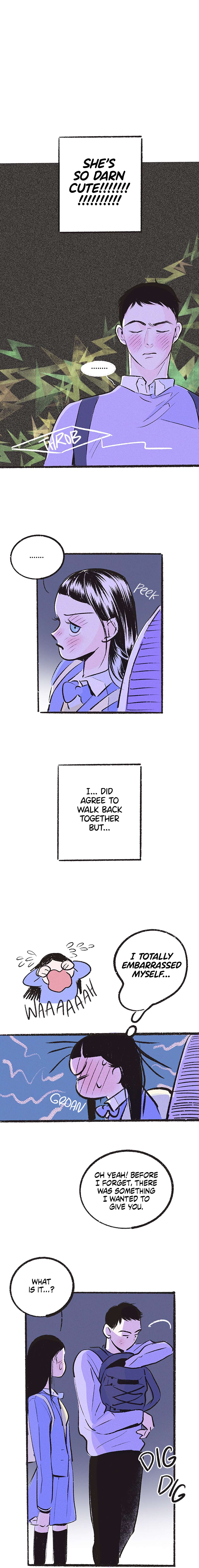 Why Don