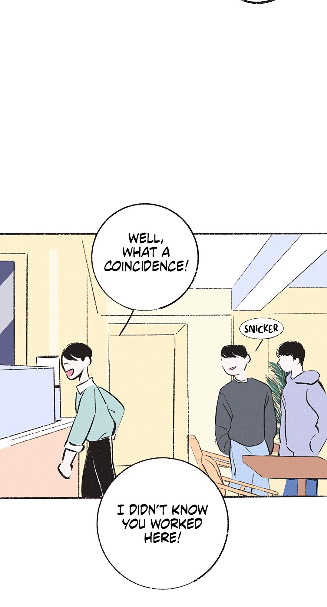Why Don