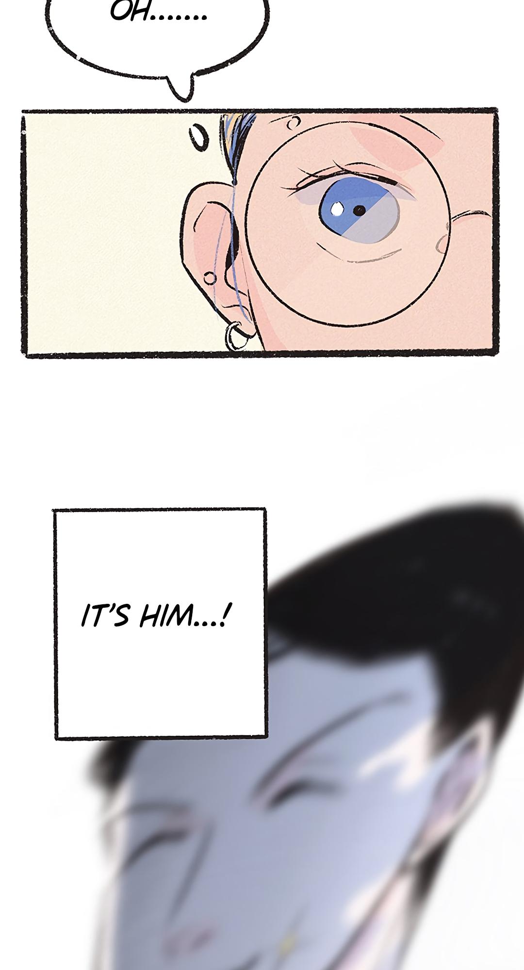 Why Don