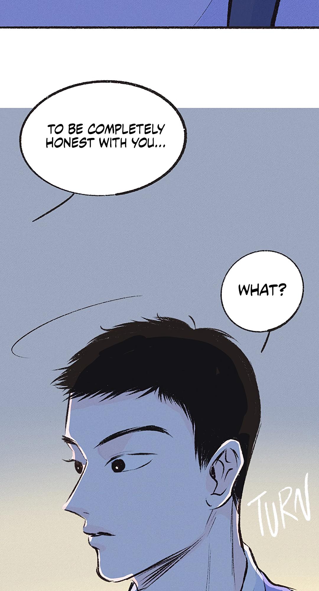 Why Don