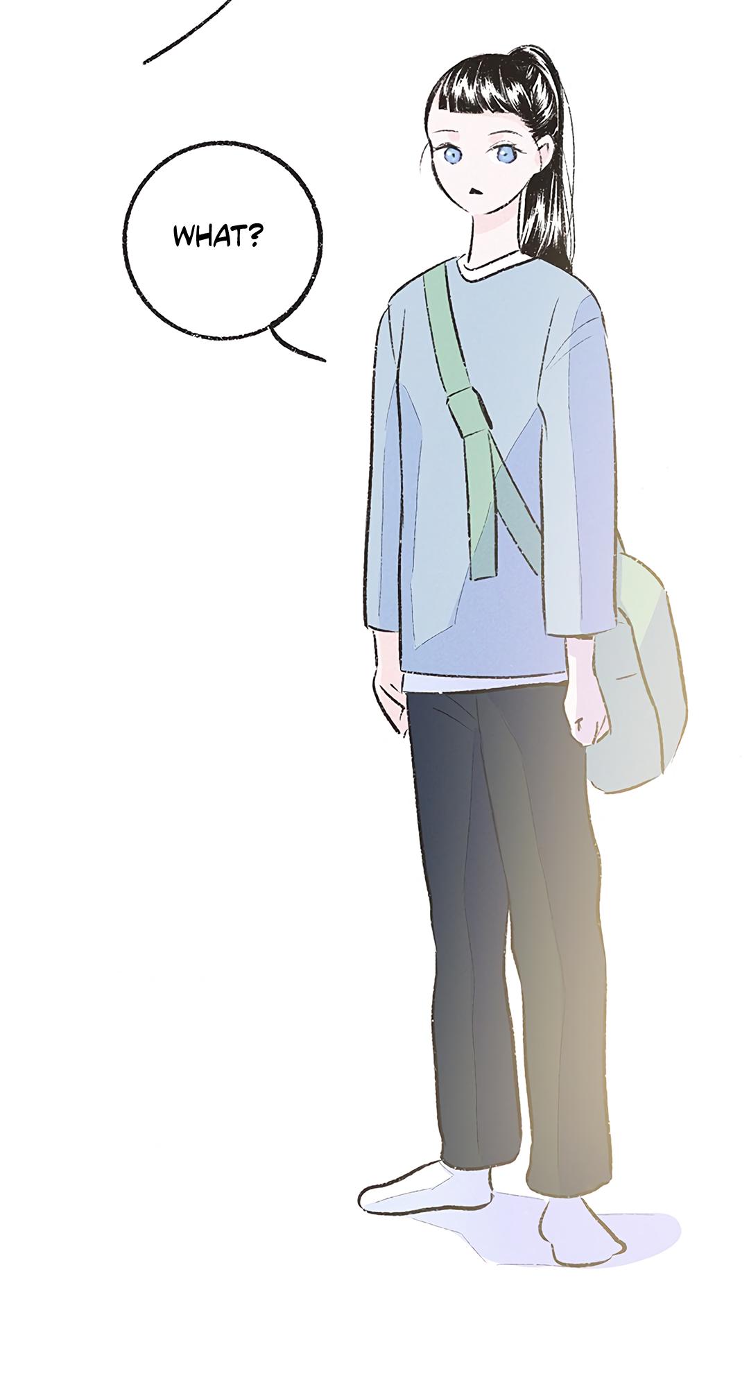 Why Don