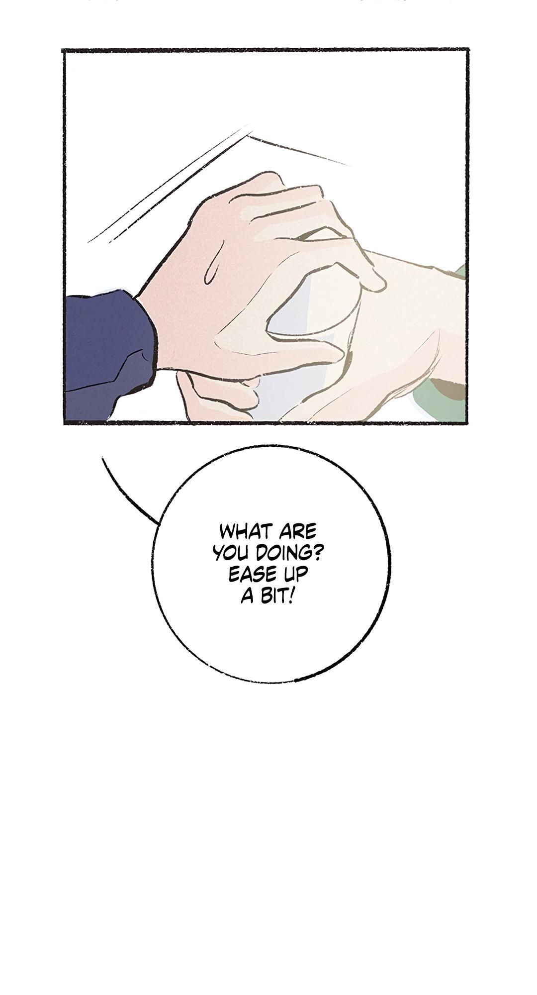 Why Don