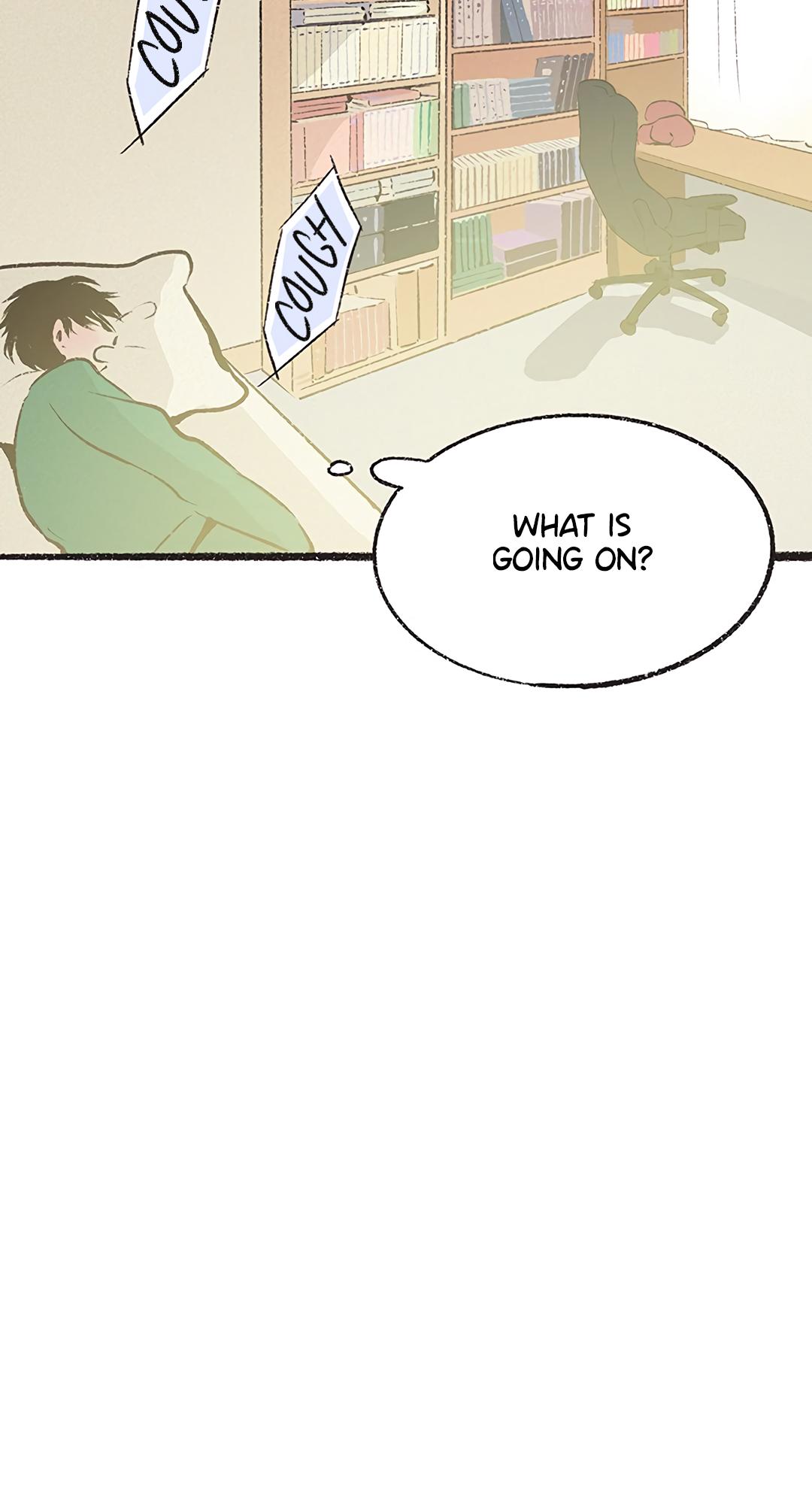 Why Don